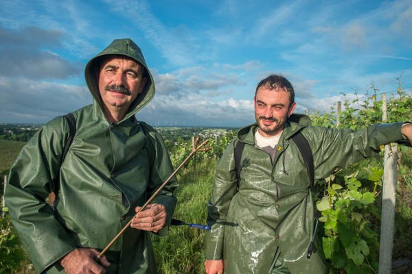 Pineau D'Aunis 2018/2019