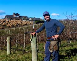 Practically Pinot Noir 2017