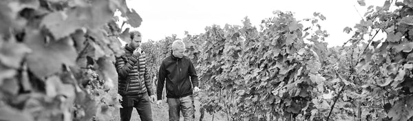 "Bechtheimer" Sylvaner 2014